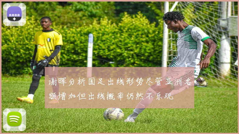 谢晖分析国足出线形势尽管亚洲名额增加但出线概率仍然不乐观